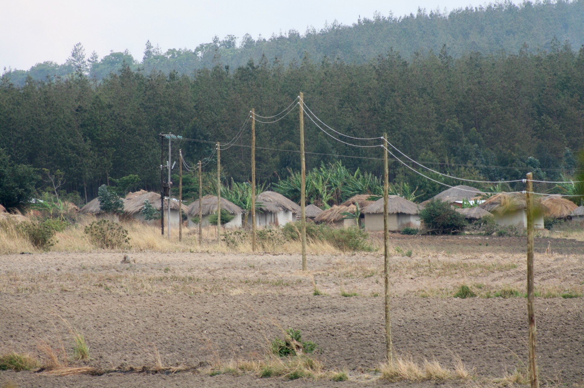 telegraphpoles